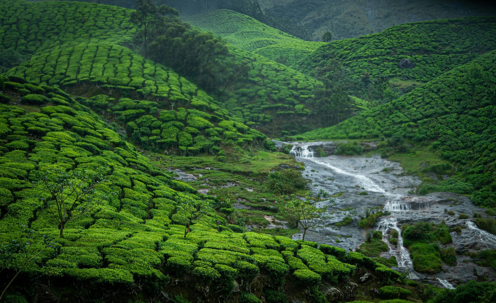 Munnar Hill Station Escape